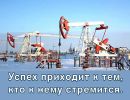 Интерпретация сейсморазведки, подсчет запасов нефти (4 фотографии)